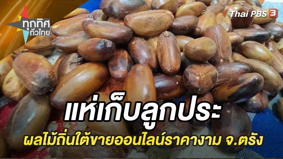 ทุกทิศทั่วไทย