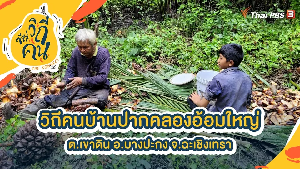 ซีรีส์วิถีคน
