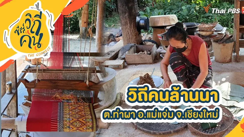 ซีรีส์วิถีคน