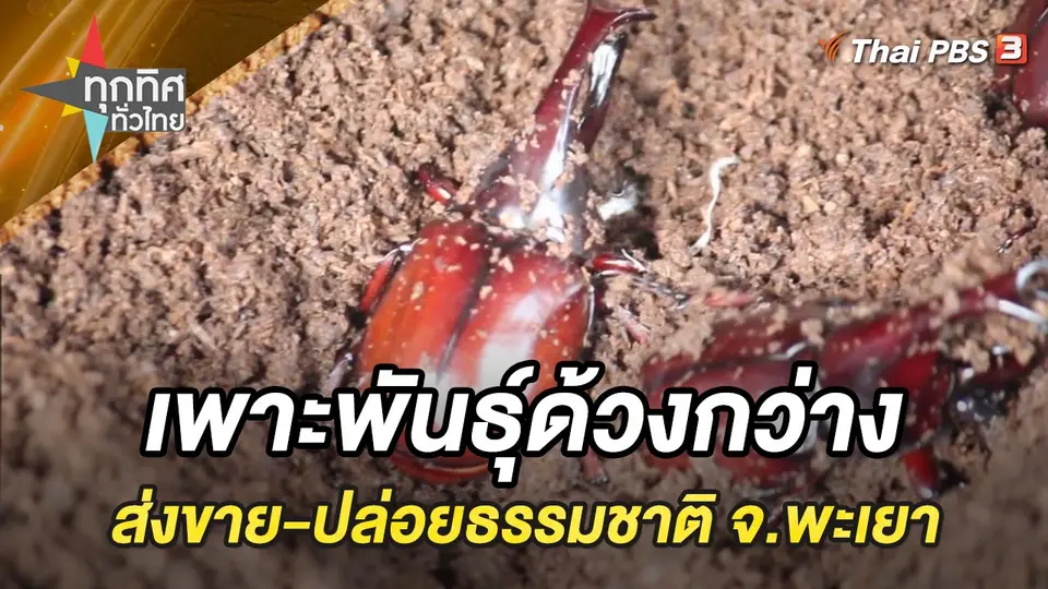 ทุกทิศทั่วไทย