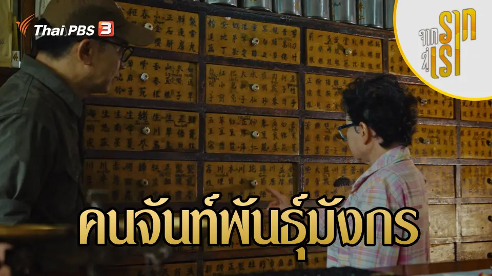 จากรากสู่เรา