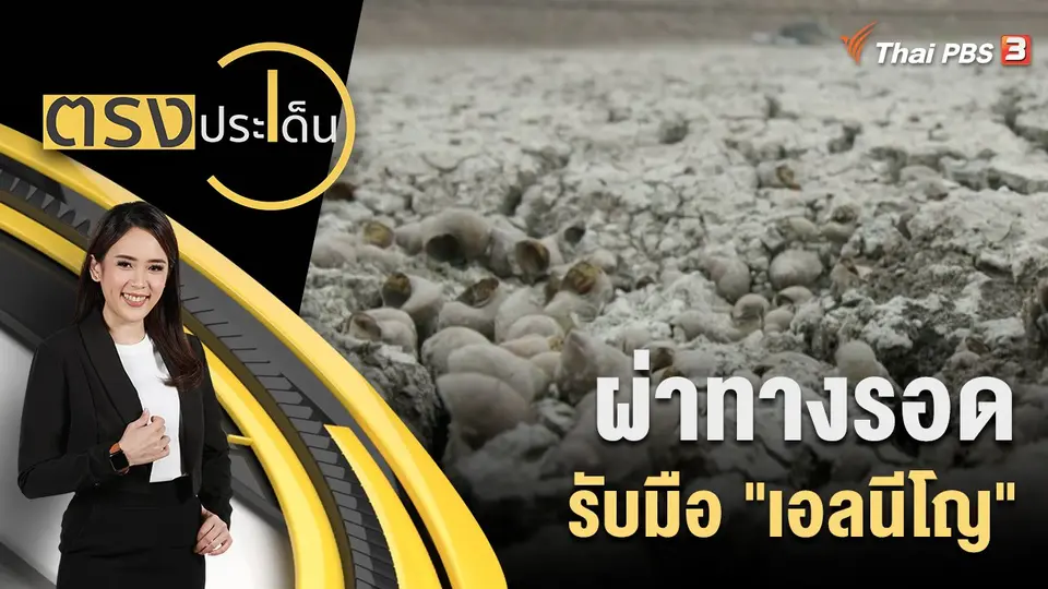 ตรงประเด็น