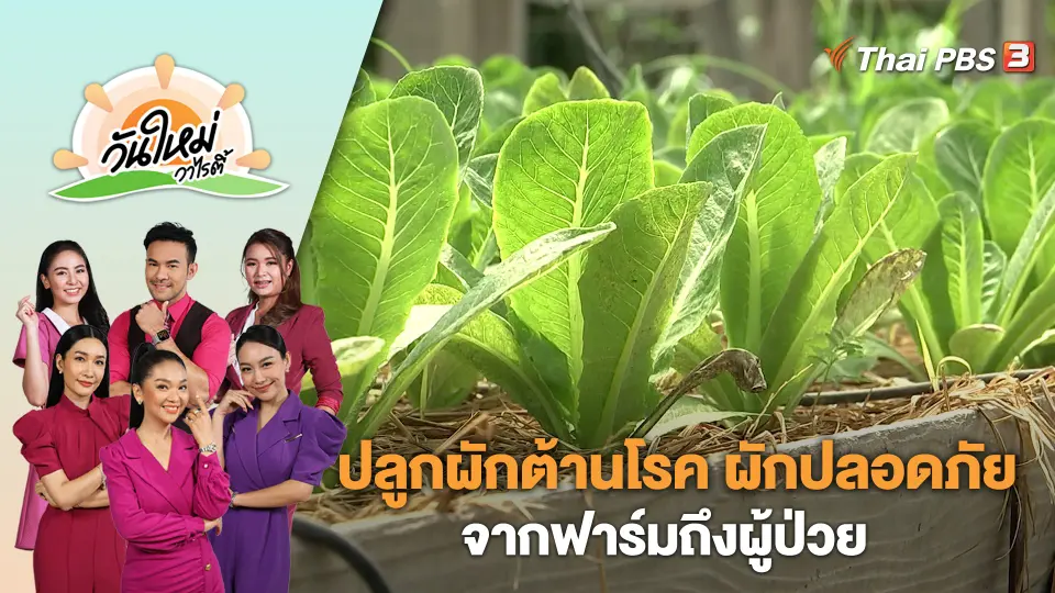 วันใหม่วาไรตี้