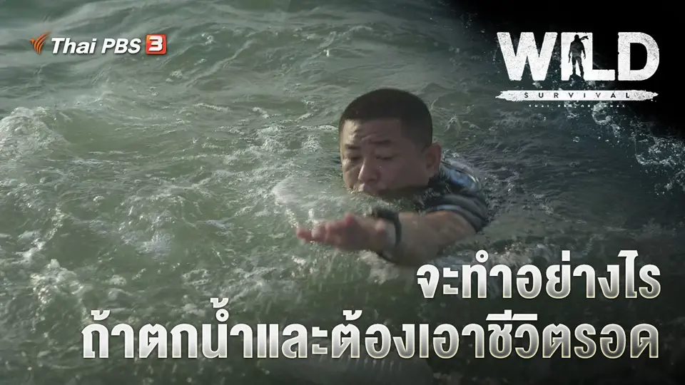 WILD SURVIVAL