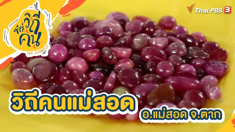 ซีรีส์วิถีคน
