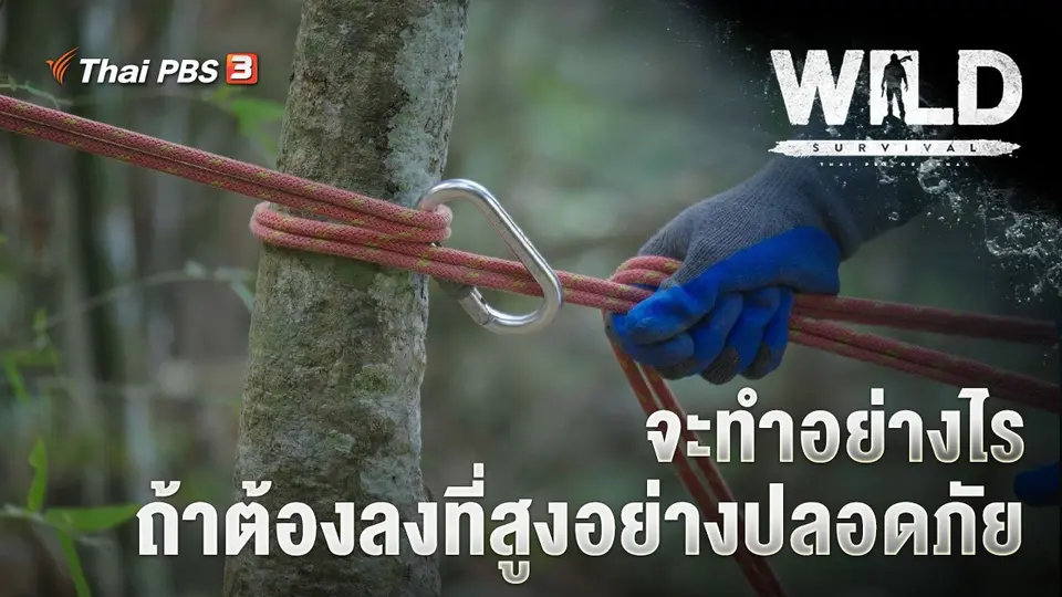 WILD SURVIVAL