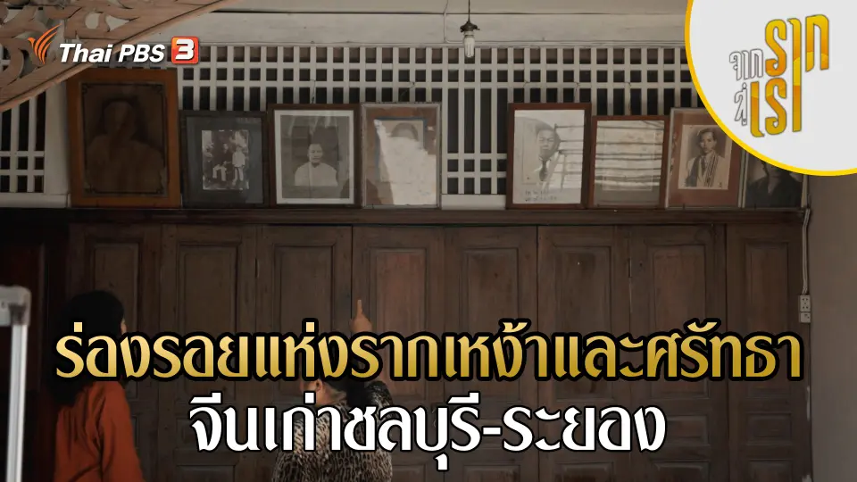 จากรากสู่เรา
