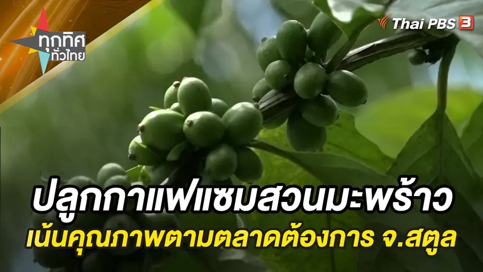 ทุกทิศทั่วไทย