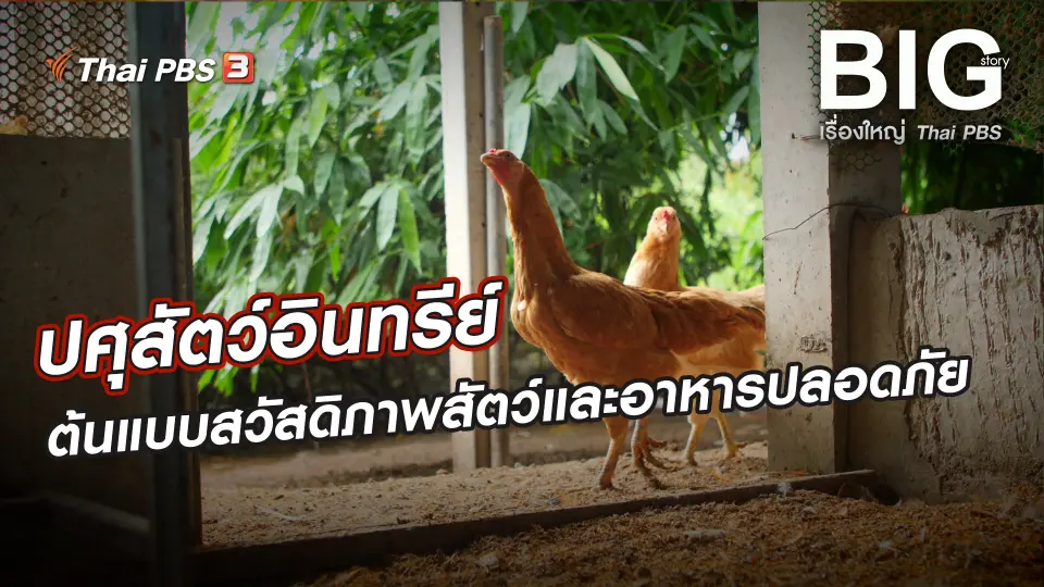 Big Story เรื่องใหญ่ Thai PBS