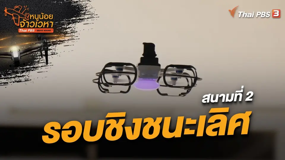 หนูน้อยจ้าวเวหา