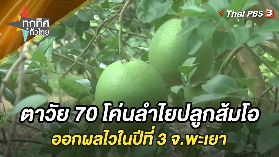 ทุกทิศทั่วไทย