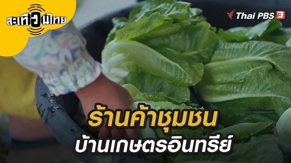 สะเทือนไทย