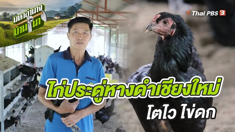มหาอำนาจบ้านนา