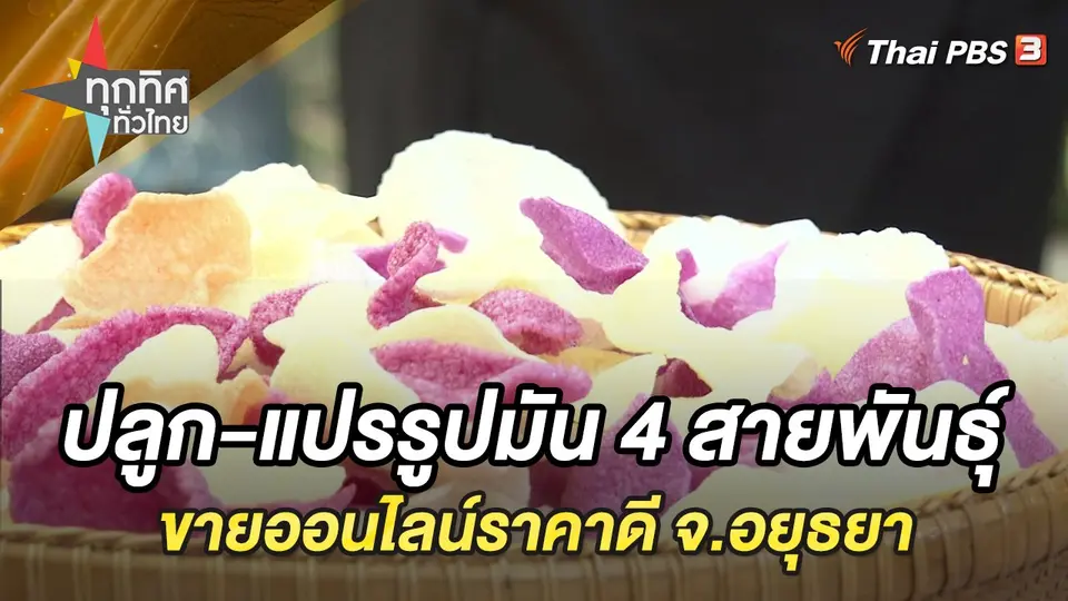 ทุกทิศทั่วไทย