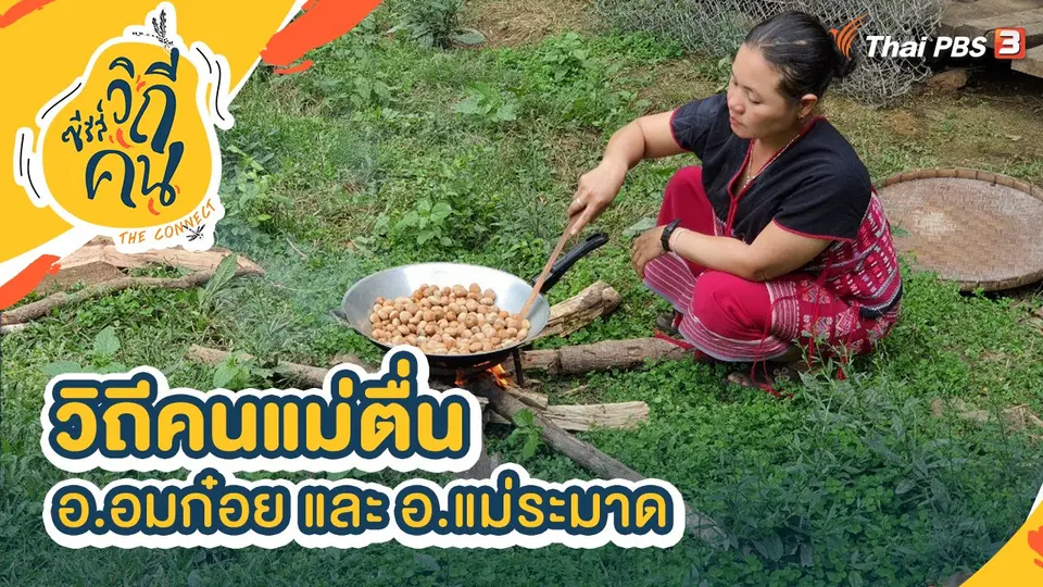 ซีรีส์วิถีคน