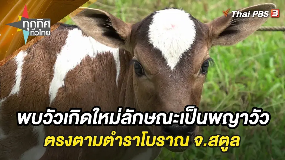 ทุกทิศทั่วไทย
