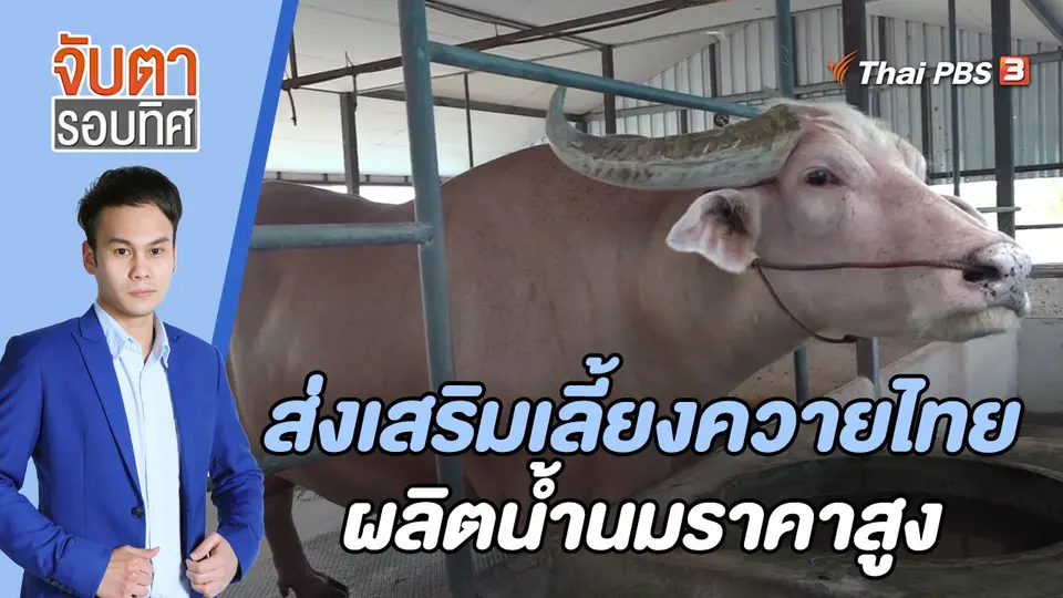 จับตารอบทิศ