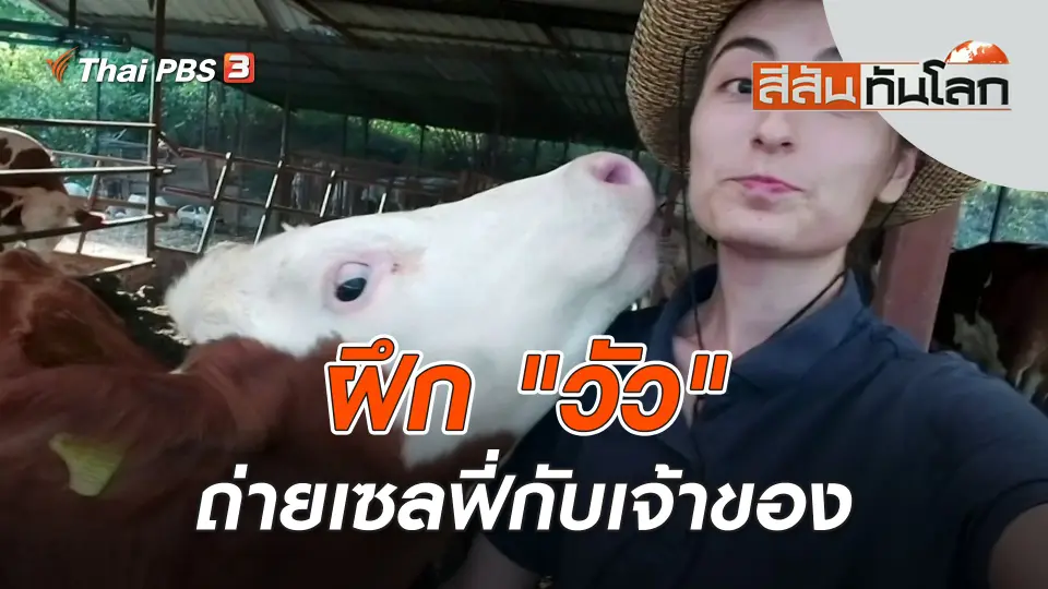 สีสันทันโลก