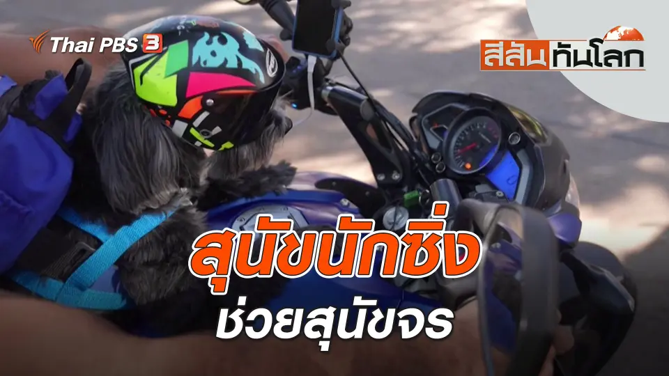 สีสันทันโลก