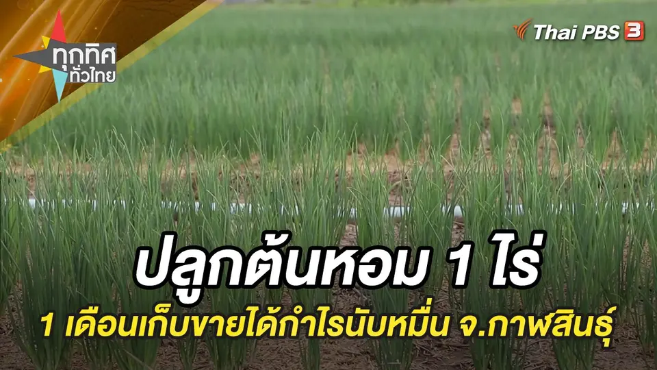ทุกทิศทั่วไทย