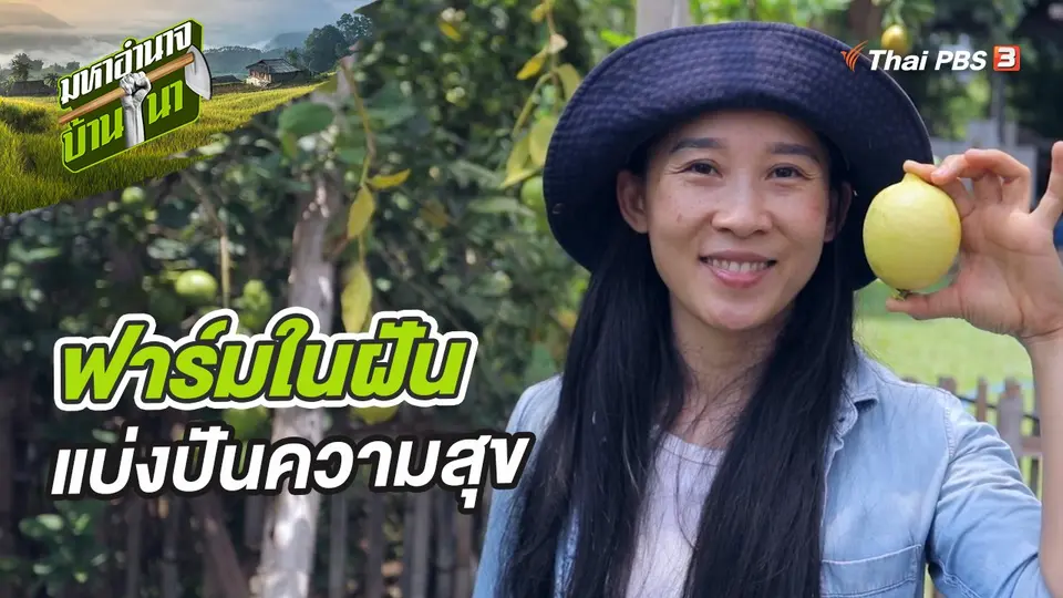 มหาอำนาจบ้านนา