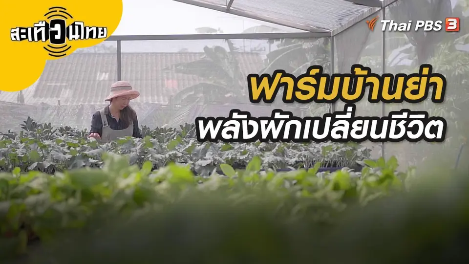 สะเทือนไทย