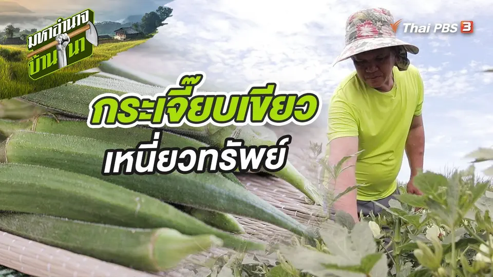 มหาอำนาจบ้านนา