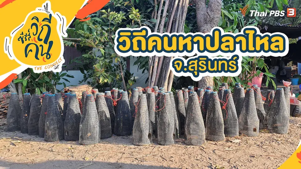 ซีรีส์วิถีคน