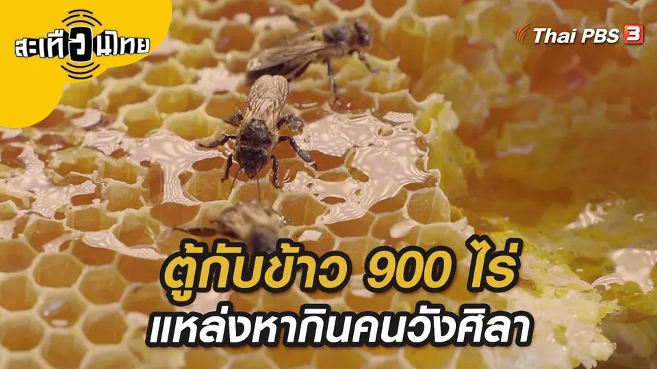 สะเทือนไทย