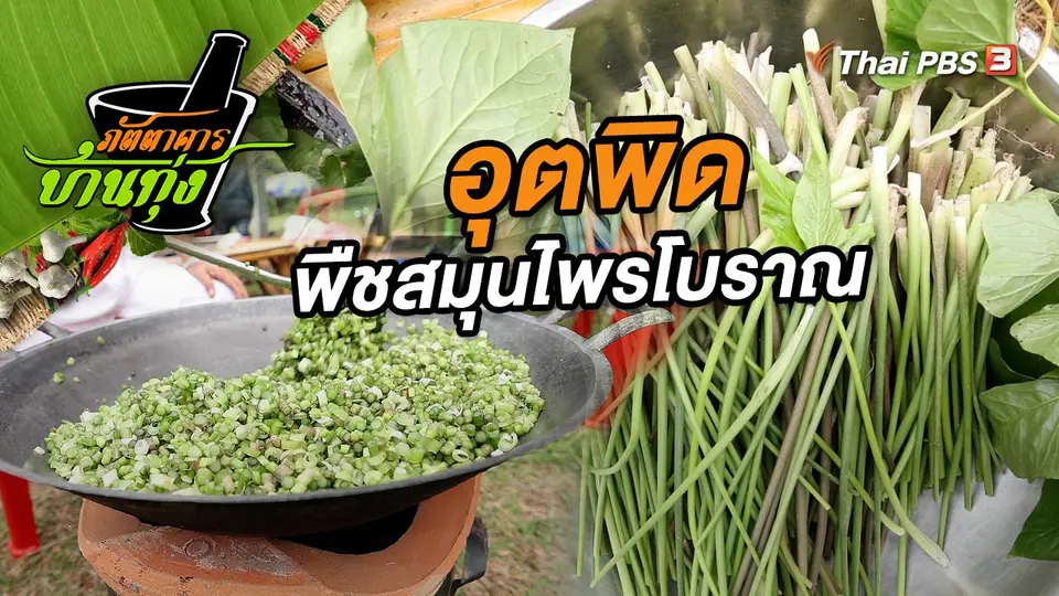 อุตพิด