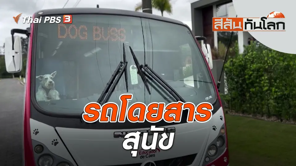 รถโดยสารสุนัข | สีสันทันโลก | 12 พ.ย. 66
