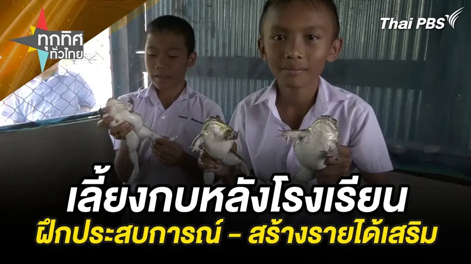 เลี้ยงกบหลังโรงเรียน ฝึกประสบการณ์ - สร้างรายได้เสริม