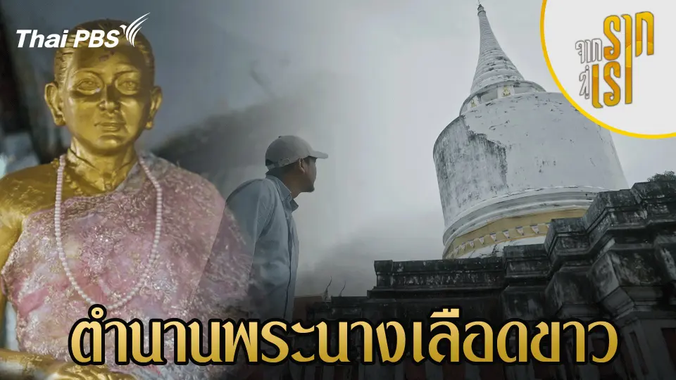 จากรากสู่เรา