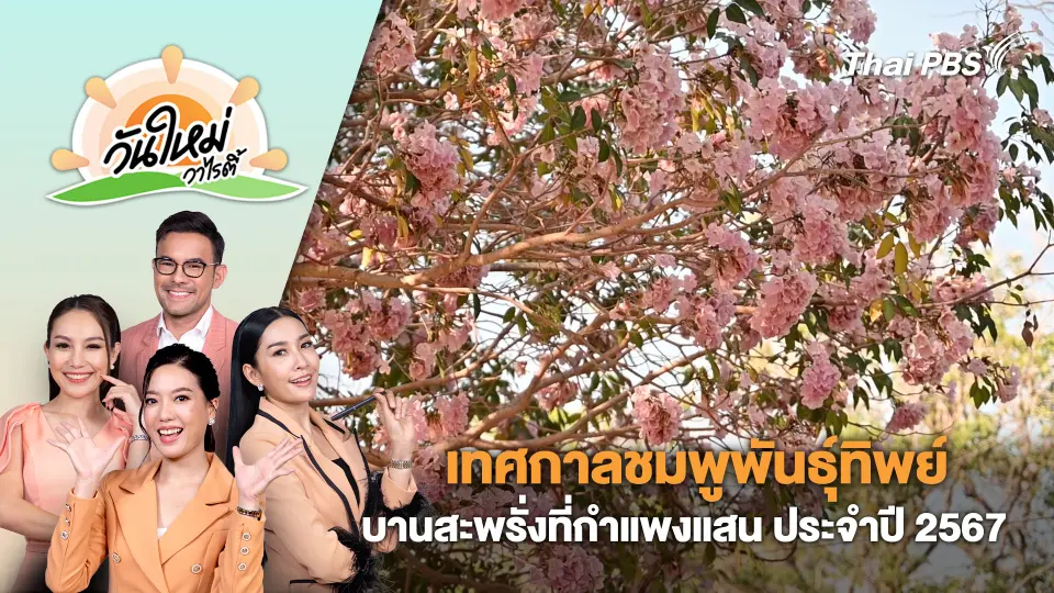เทศกาลชมพูพันธุ์ทิพย์บานสะพรั่งที่กำแพงแสน ประจำปี 2567 | วันใหม่วาไรตี้ | 6 มี.ค. 67
