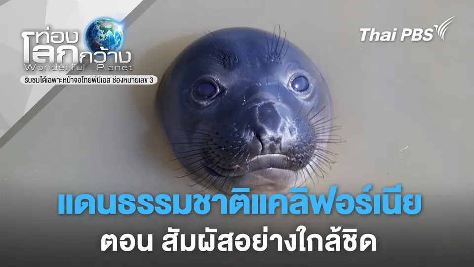 ท่องโลกกว้าง