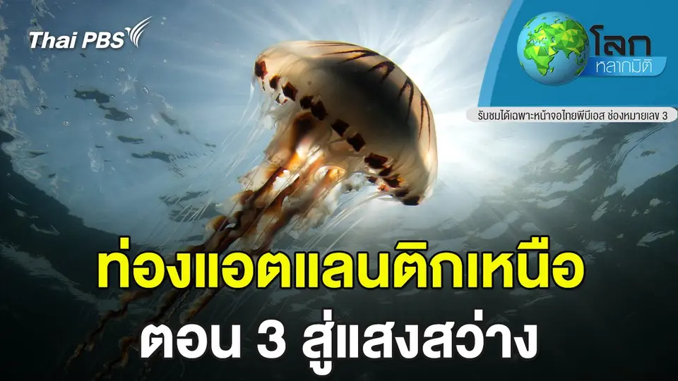 โลกหลากมิติ