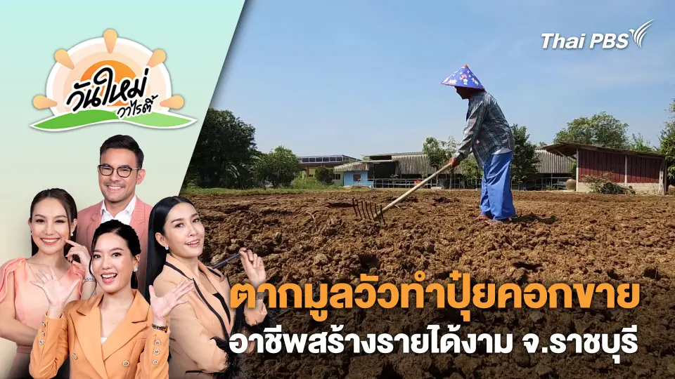 เกษตรกรตากมูลวัวทำปุ๋ยคอกขาย อาชีพสร้างรายได้งาม จ.ราชบุรี | วันใหม่วาไรตี้ | 26 มี.ค. 67