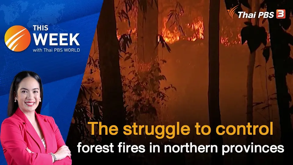 The struggle to control forest fires in northern provinces | 22 Mar 2024