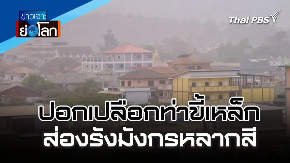 ปอกเปลือกท่าขี้เหล็ก ส่องรังมังกรหลากสี | 30 มี.ค. 67