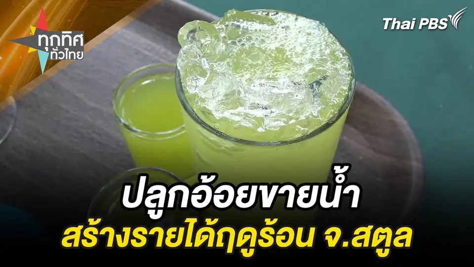 ปลูกอ้อยขายน้ำสร้างรายได้ฤดูร้อน จ.สตูล