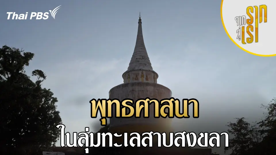 จากรากสู่เรา
