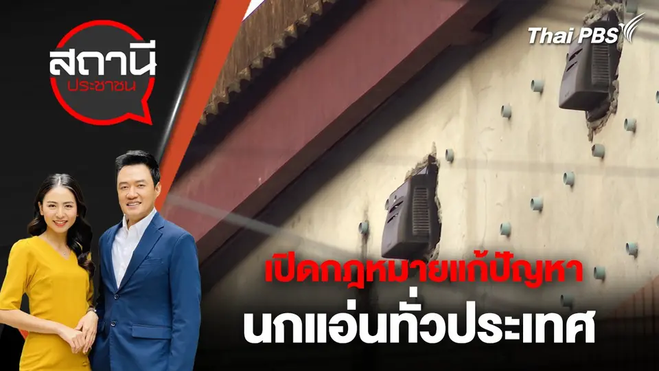 เปิดกฎหมายแก้ปัญหานกแอ่นทั่วประเทศ