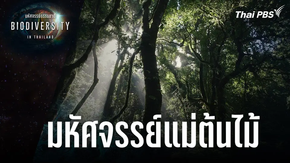 Biodiversity in Thailand มหัศจรรย์ธรรมชาติ