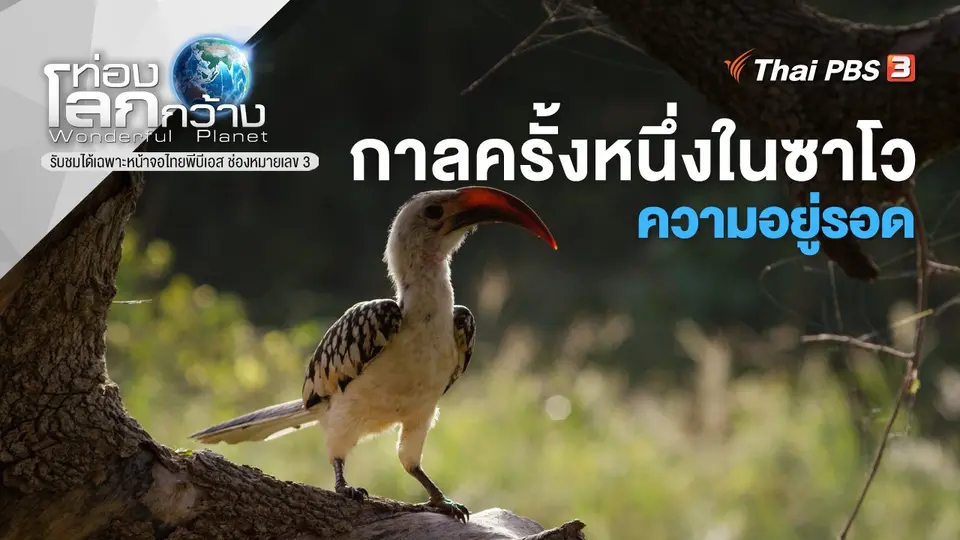 ท่องโลกกว้าง