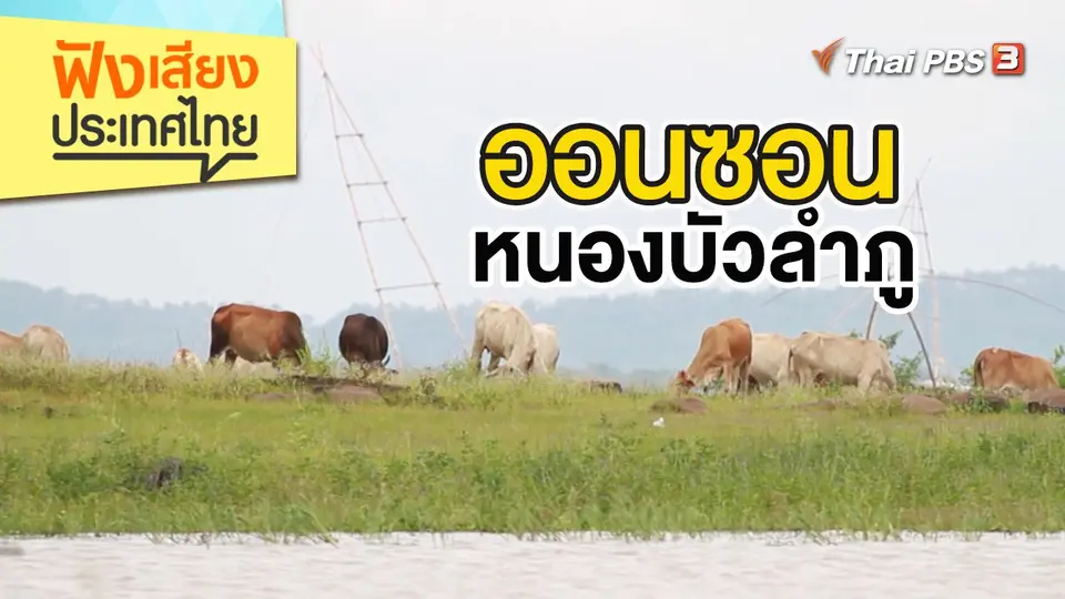ออนซอน หนองบัวลำภู