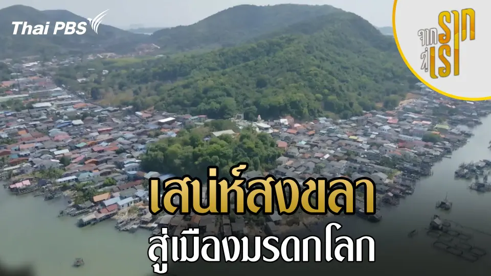จากรากสู่เรา