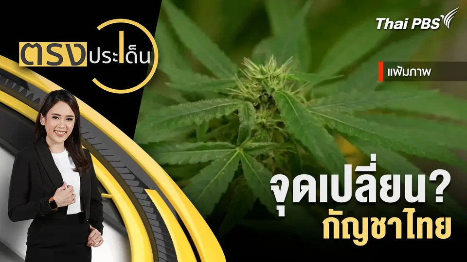จุดเปลี่ยน? กัญชาไทย