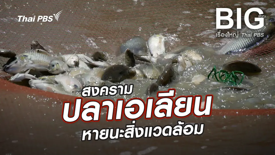 Big Story เรื่องใหญ่ Thai PBS UNCUT