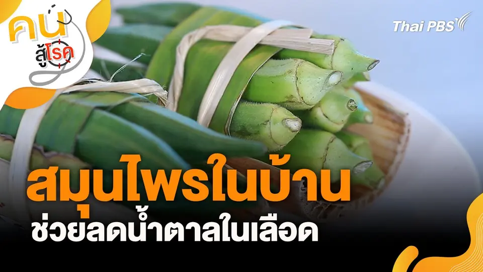 สมุนไพรในบ้านช่วยลดน้ำตาลในเลือด