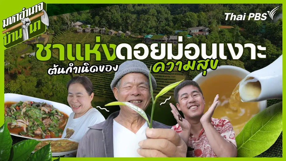 ชาแห่งดอยม่อนเงาะ ต้นกำเนิดของความสุข